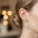 Earrings "Coat of Arms" silver